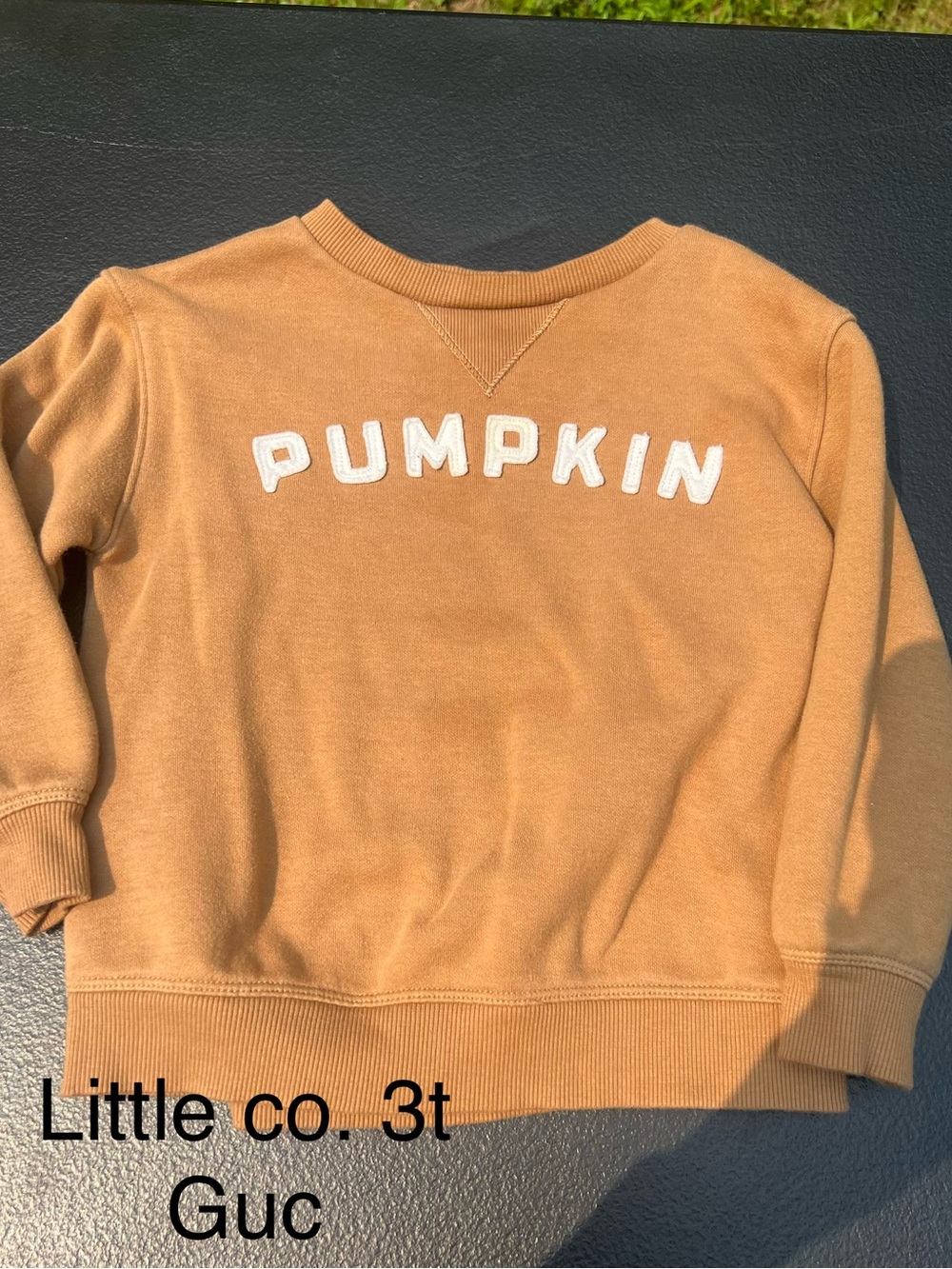 Little Co. 'Pumpkin' Tan Kids Sweatshirt